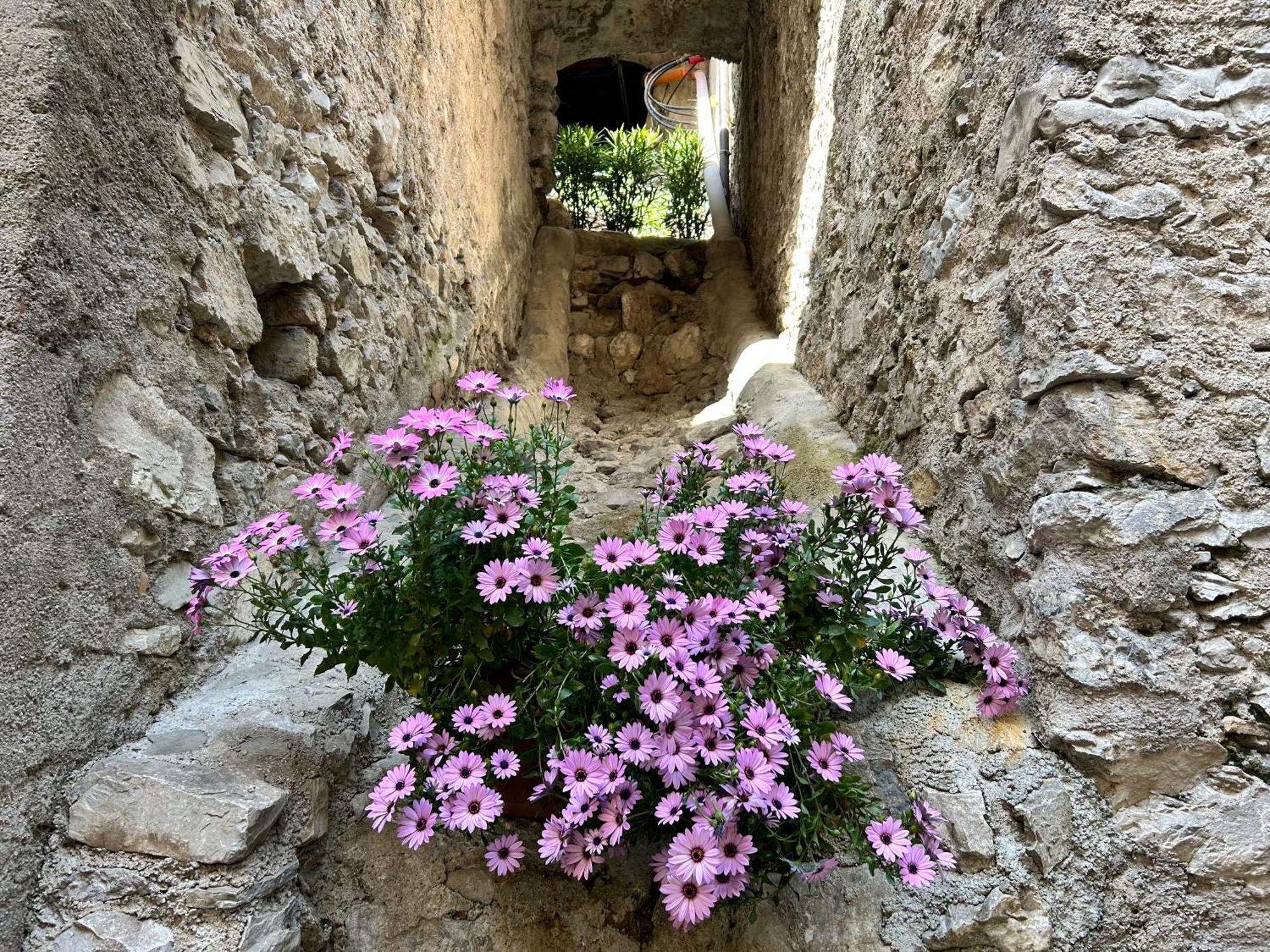 Studios Al Castello Dei Limoni Лимоне-суль-Гарда Экстерьер фото